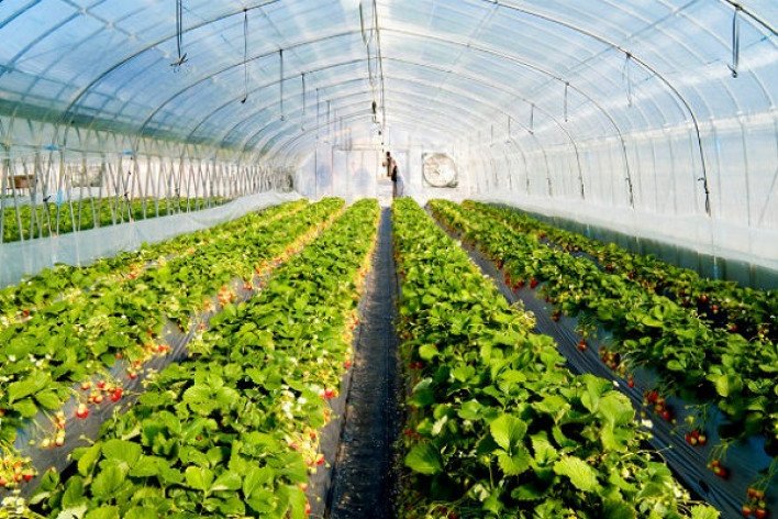 Փոքր և միջին ջերմային տնտեսությունների ներդրման պետական աջակցության ծրագիրը մեկնարկել է