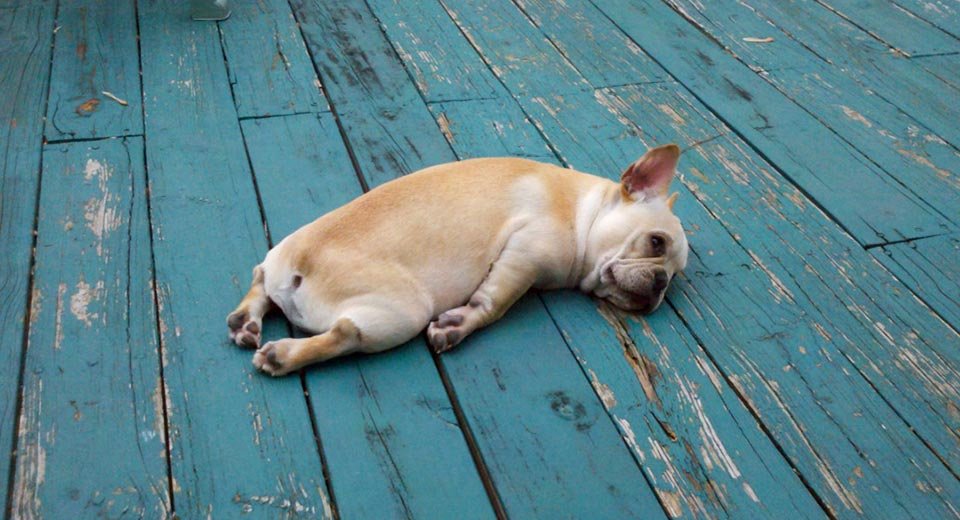 Օդի ջերմաստիճանը աստիճանաբար կբարձրանա