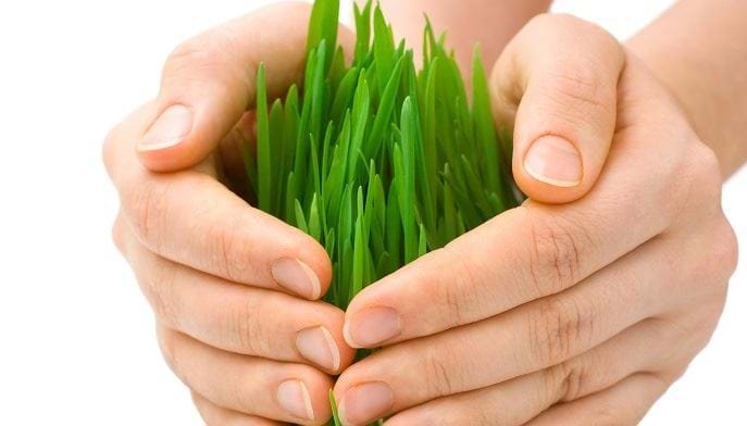 166 հաստատված հայտ, 76 մլն դրամ փոխհատուցում. 2019-ի վերջից մեկնարկած գյուղապահովագրությունից արդեն օգտվել է ավելի քան 1500 ֆերմեր