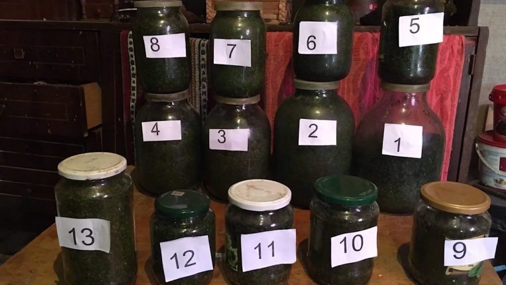 andznakan ogtagorcman